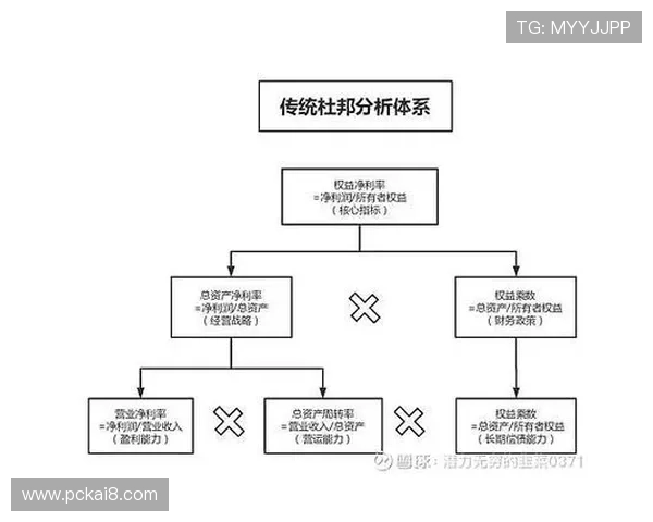 分析K8捕鱼王平台的盈利模式与收益分析帮助投资者做出明智决策